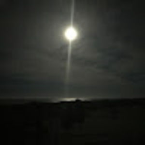 Meet your Posher, Jo-ann